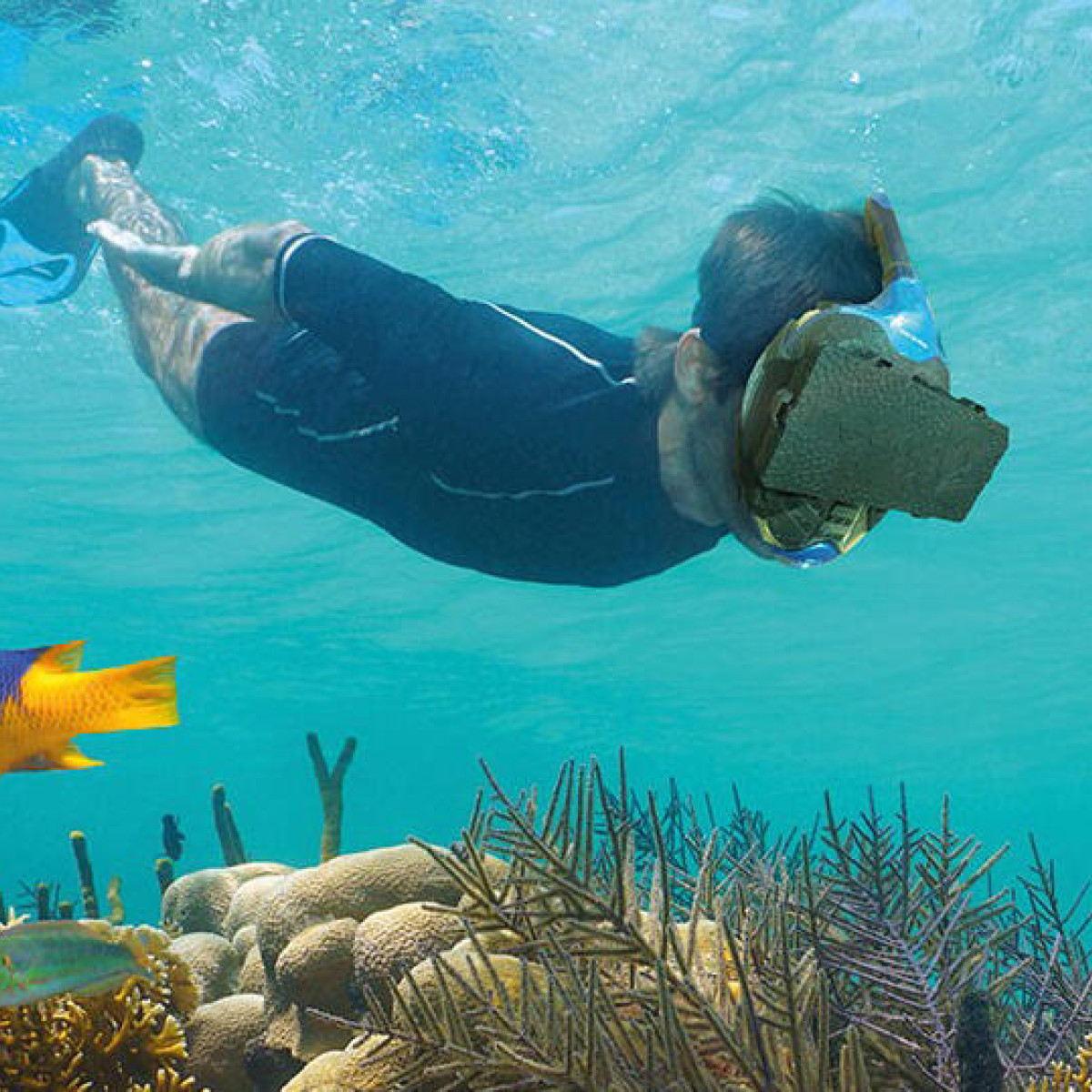 NIEUW bij De Wilder VR Snorkelen Optisport